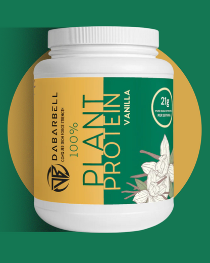 Plant Protein (Vanilla)